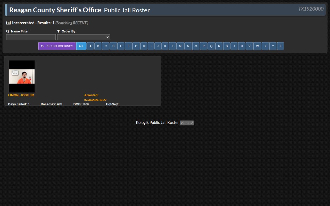 Reagan County current-inmate roster fields
